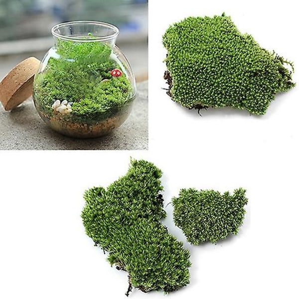 5kpl Kotijuhlakoristeita Keinotekoinen vihreä ruoho sammalkasvi koristeena miniatyyri