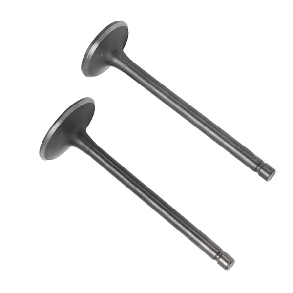 Eksos Inntaksventilsett Svart Eksos Inntaksventilsett Erstatning for XG250 TRICKER 2004‑2017