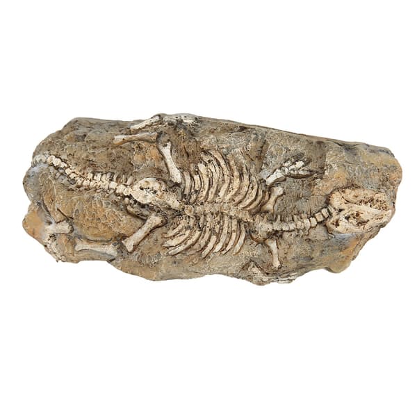 Akvarium Dinosaur Fossil Dekorasjon Harpiks Reptil Gjemmested