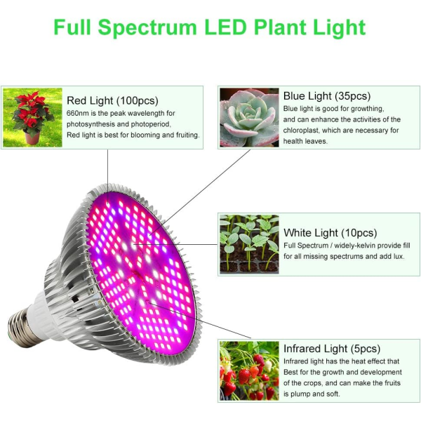 Grow Light 100W E27 Grow Lamp Täysspektri LED-kasvatuslamppu sisäkasveille, vihanneksille ja kukille,