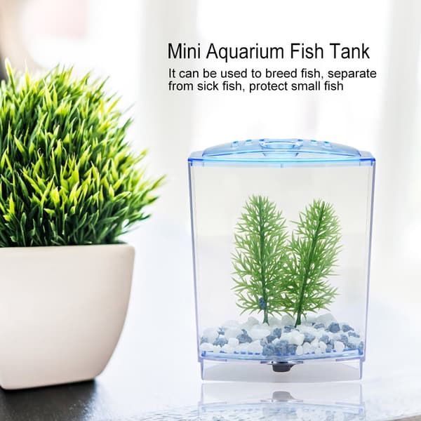 Mini Akvarium Transparent Vattenväxter Odling Box Kläckningsinkubator Enkel