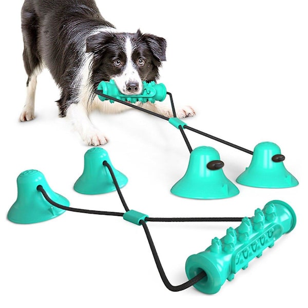 Pet Toys Dubbel sugkopp Dragsko (grön)