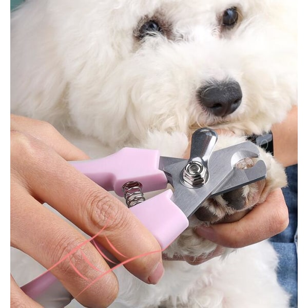 Rengøringsartikler til kæledyr Negleklippere (kanelpulver)