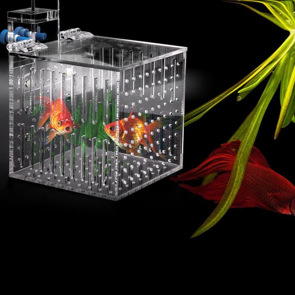 Multifunktionell Akryl Hög Klarhet Akvarium Fisk Isoleringstank
