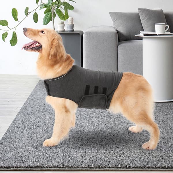 Mörkgrå Ångestdämpande Stressreducerande Hundtröja Storlek S