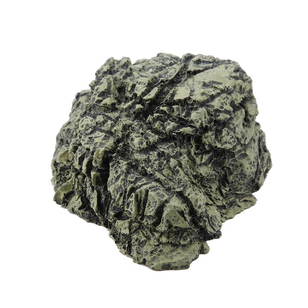 Medium Akvarium Skildpadde Reptil Solplads Skjul