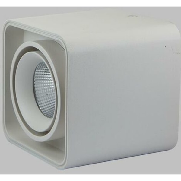Säädettävät kattokohteet (10W LED-polttimoilla) Spotlight-seinävalaisin, 220V