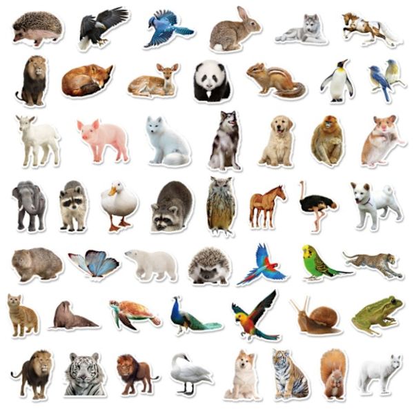 50 realistista eläintarraa Eläinten graffititarrat Toistumattomat vedenpitävät autotarrat Uudet (BP-0000378 Zoo Series 50 Pieces),