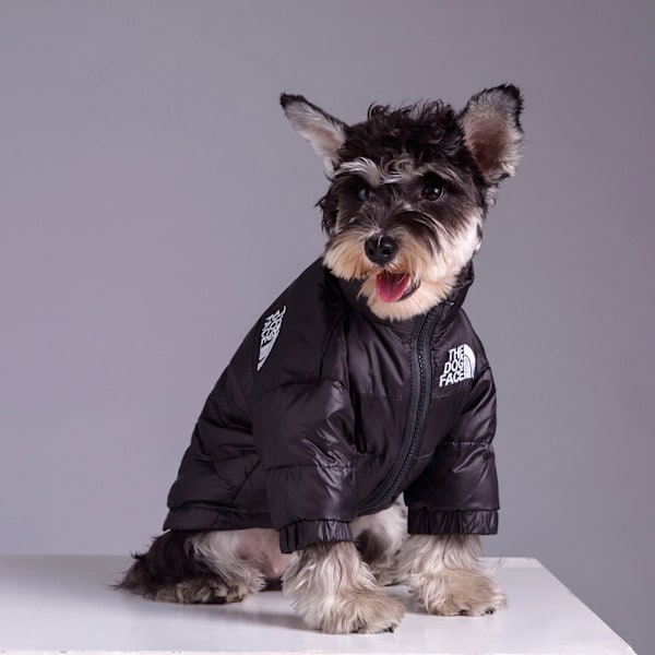 The Dog Face Hundjacka Dunjackor Pufferrock Hundkläder Husdjur Kostym Vinter Hund Kläder Hundklänning svart black M