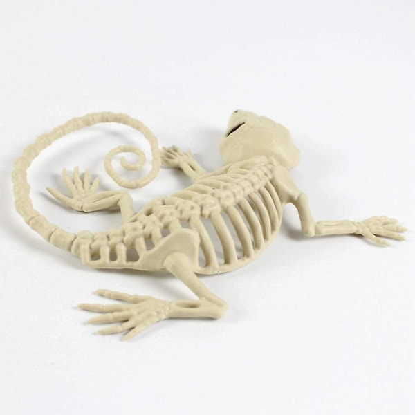 Gecko kranie ornament,