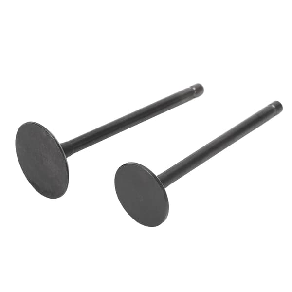 Eksos Inntaksventilsett Svart Eksos Inntaksventilsett Erstatning for XG250 TRICKER 2004‑2017