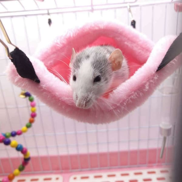 Rosa Hamster Hängande Säng Varm Vinter Husdjursgrotta Sovbur Rosa