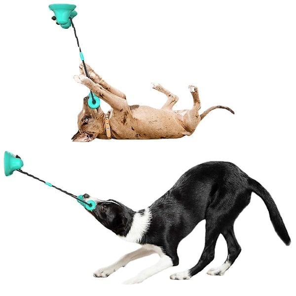 Pet Toys Dubbel sugkopp Dragsko (grön)