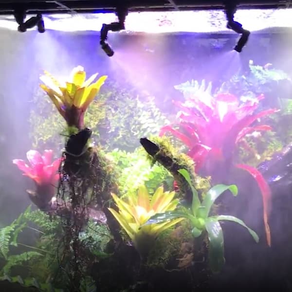 360° Justerbart dimsystem för reptiler, regnskogsterrarium, 14-tums röranslutning