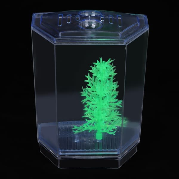 Mini Akvarium Transparent Vattenväxter Odling Box Kläckningsinkubator Enkel