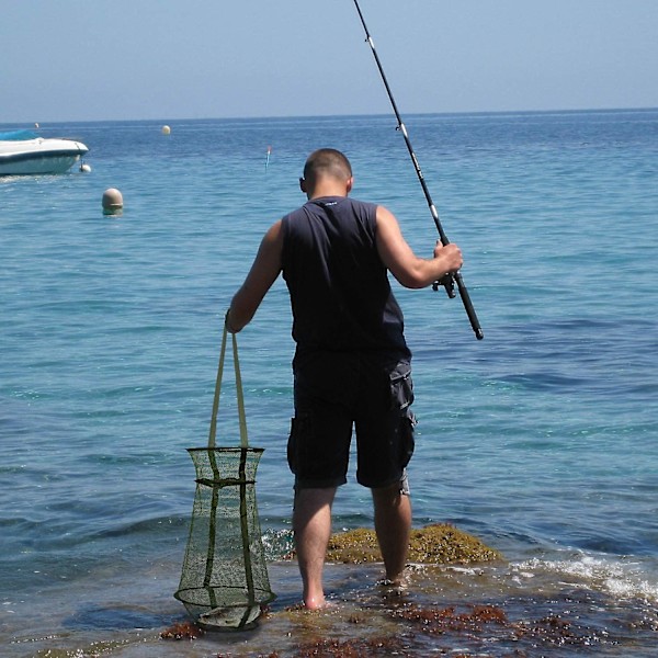 Fiskenet Fiskefælde Sammenfoldelig fiskebur Fiskekurv til opbevaring af lokker Krebsekrabber Smelt Minnows Rejer Hummere