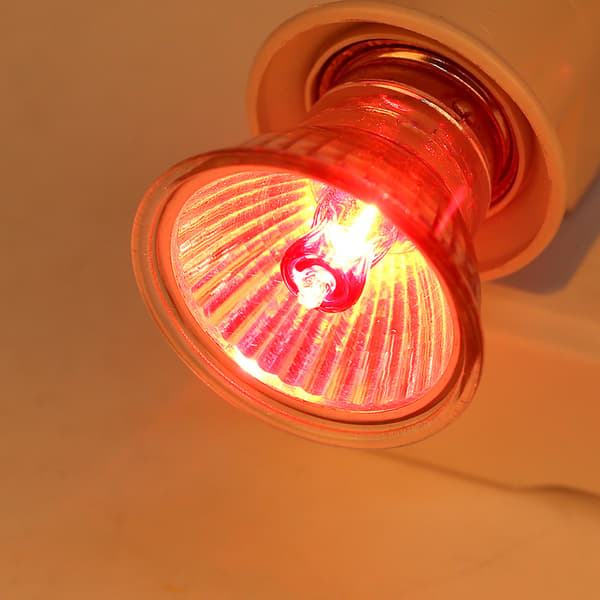 Matelijan lämmityslamppu UVA UVB infrapuna auringonvalo 50W