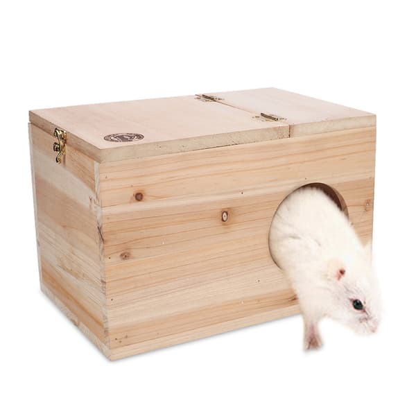 Naturlig Säker Trä Husdjur Chinchilla Ekorre Häckningslåda Hus