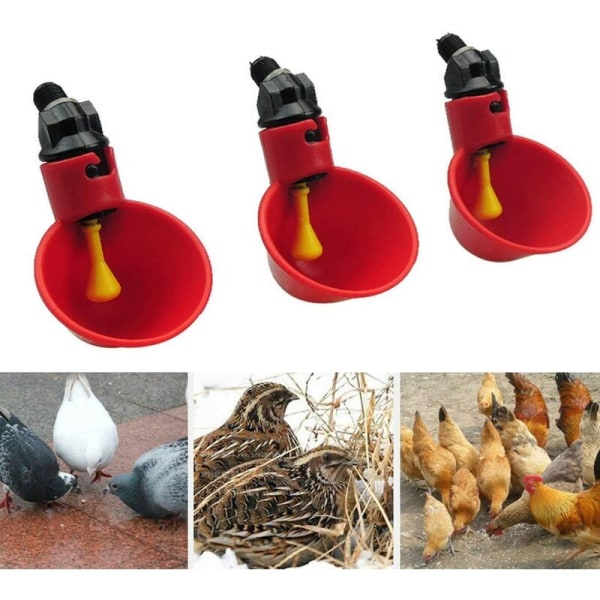 Automatisk kycklingvattnare Röd dricksvattenkoppar Bekväm plasthönsvattenbehållare för fåglar Höns fjäderfä - 5 st.