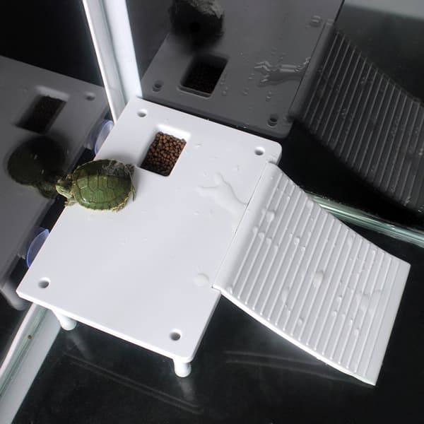 Flydende Reptil Platform med Klatrestige til Terrarium Akvarium