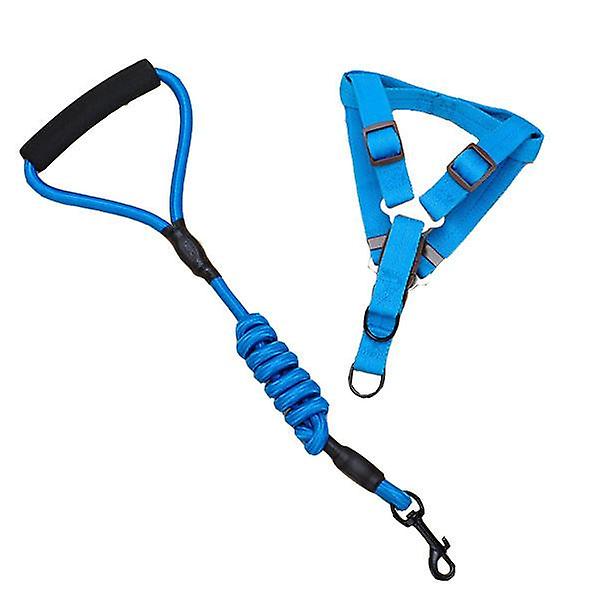 Hundhalsband, selar och koppel, set med klätterkoppel i nylon (blå bröst & rygg M)