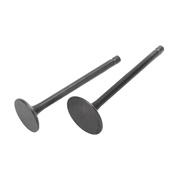 Eksos Inntaksventilsett Svart Eksos Inntaksventilsett Erstatning for XG250 TRICKER 2004‑2017