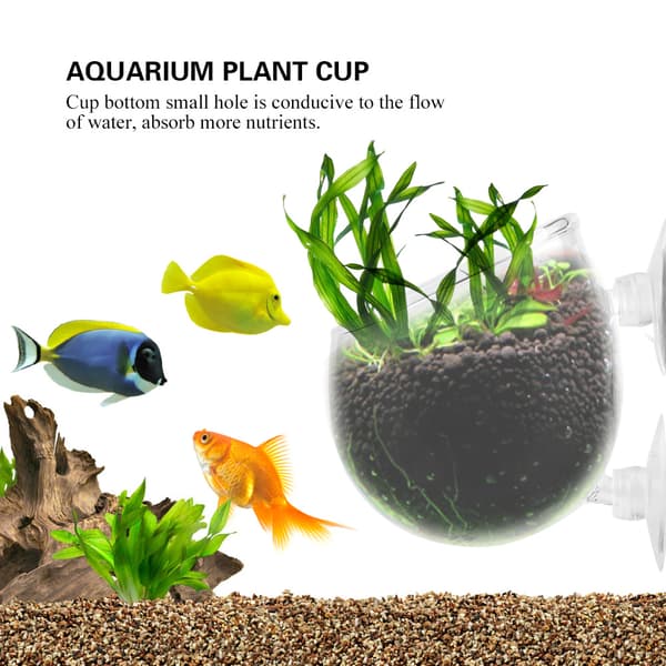Mini Akvarium Levande Växt Kopp Landskap Växter Odling Bassäng