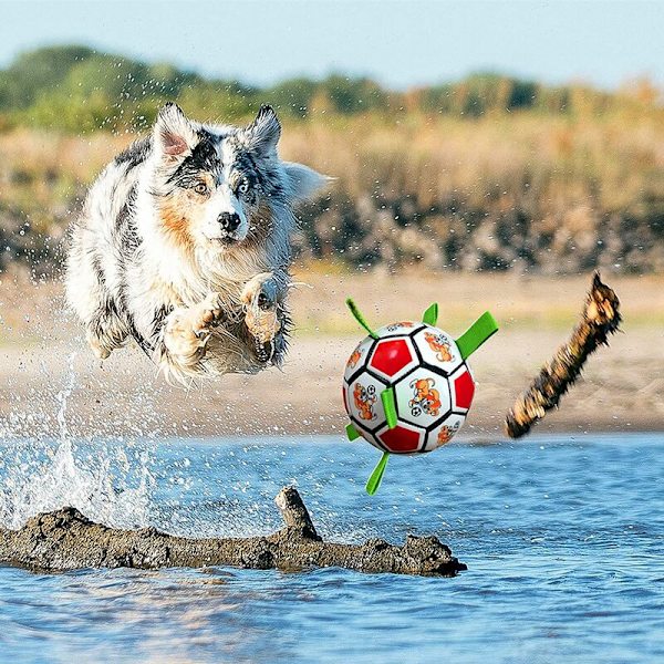 Hundleksak Oförstörbar Hundboll Oförstörbar Hundboll Hundboll Interaktiva Hundbollar Hundar leker inomhus och utomhus, S