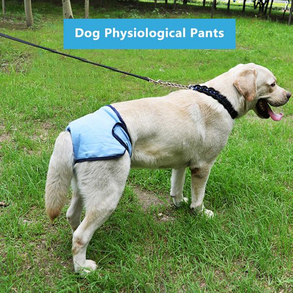 Polyester Hundbyxor Blå XL