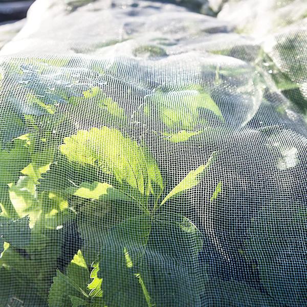 2,5x4m Anti-insektsnät Trädgårdsnät Mesh skyddsnät för grönsaksväxter Frukt Blommor Grödor Växthus