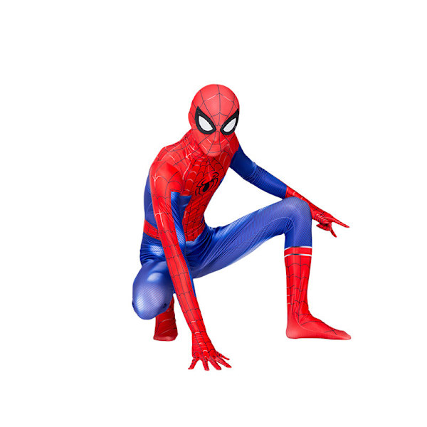 3D-supersankarihaalari adult M