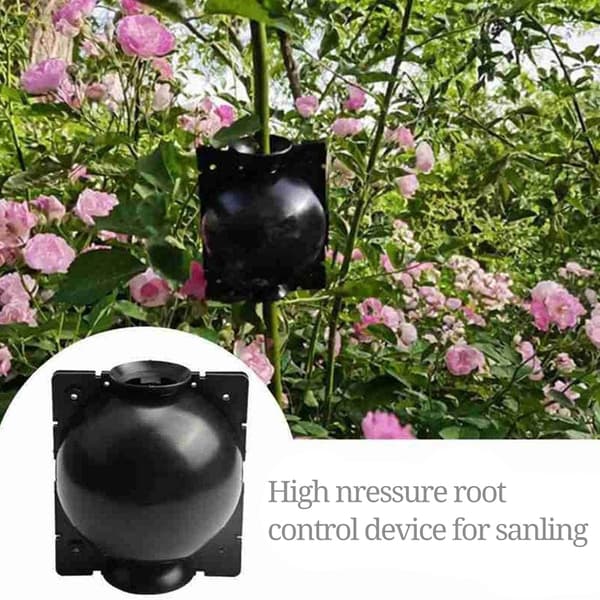 3 Plant Rooting Sphere Transplant Box for Hageplanter