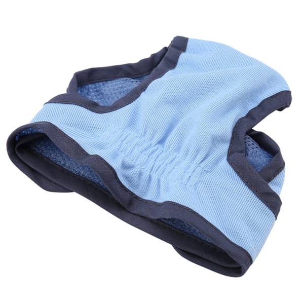 Polyester Hundbyxor Blå XL