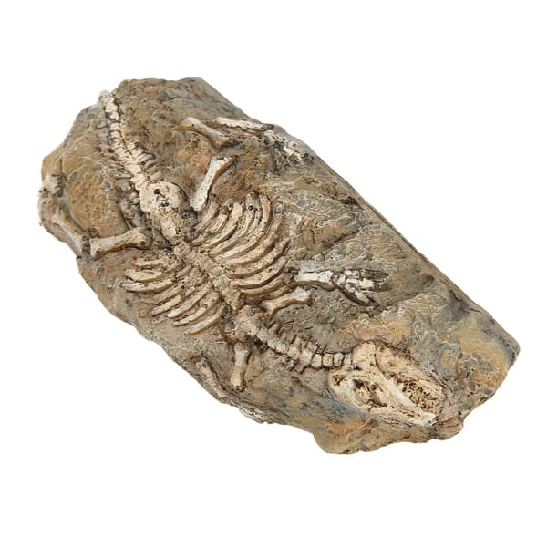 Akvarium Dinosaur Fossil Dekorasjon Harpiks Reptil Gjemmested