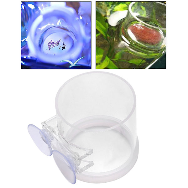 Akryl Transparent Fiskmatningsring Sugkopp Akvariefoder