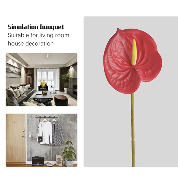 Simulering 3D Anthurium Blomma Vardagsrum Hem Layout Simulering Blombukett Flamingo Anthurium