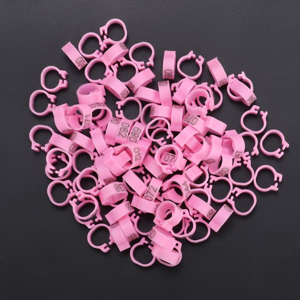 100 stk. 8 mm nummererede lyserøde plastik duefodringe 001-100