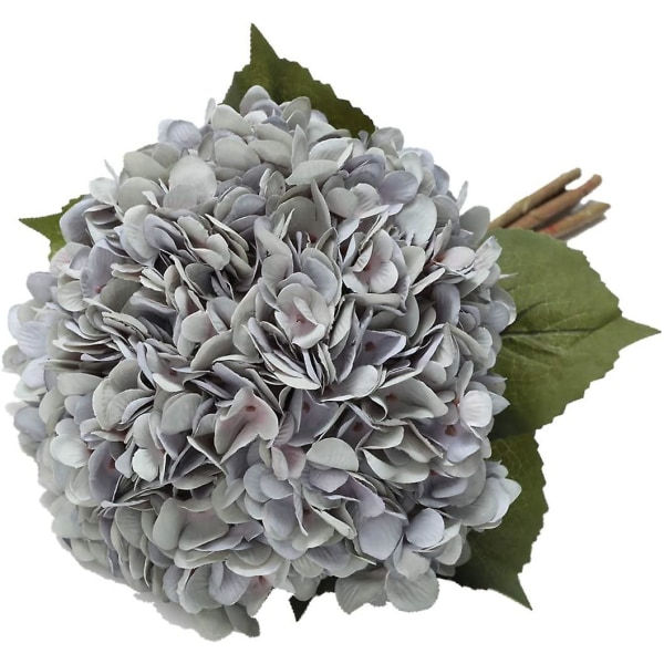 Pohjoismainen hortensia, sininen, 5kpl