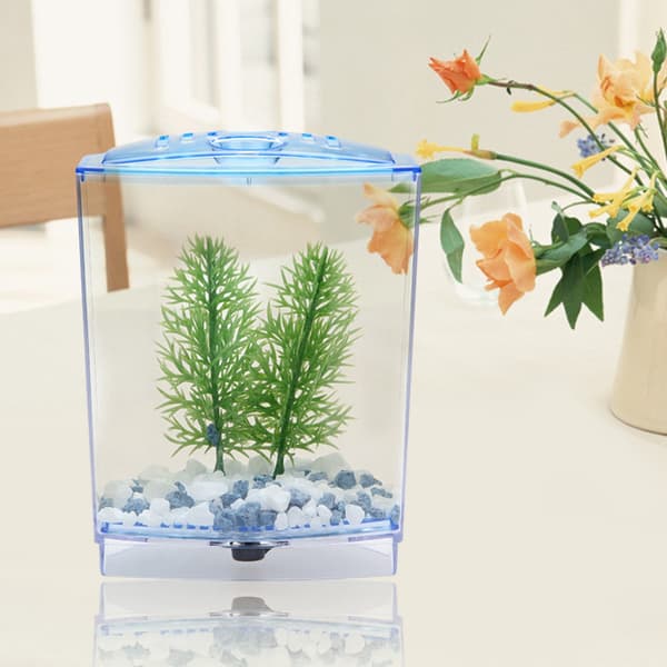 Mini Akvarium Transparent Vattenväxter Odling Box Kläckningsinkubator Enkel