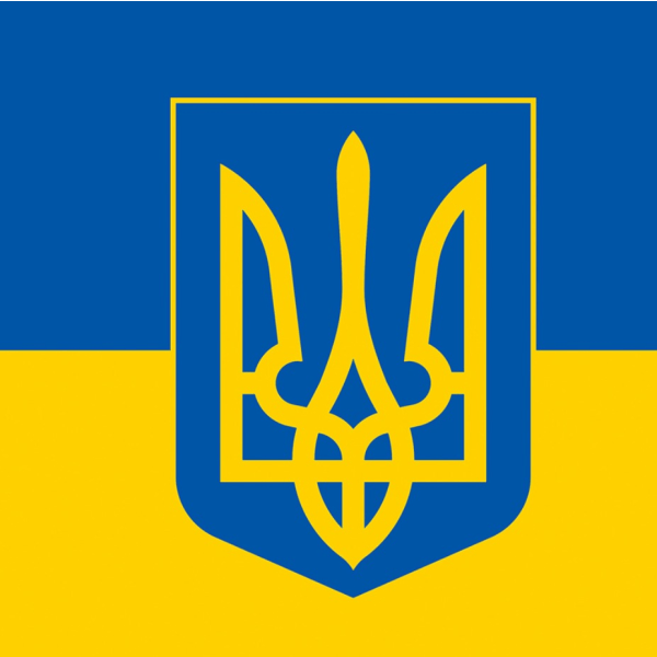 ukrainsk flag 50#
