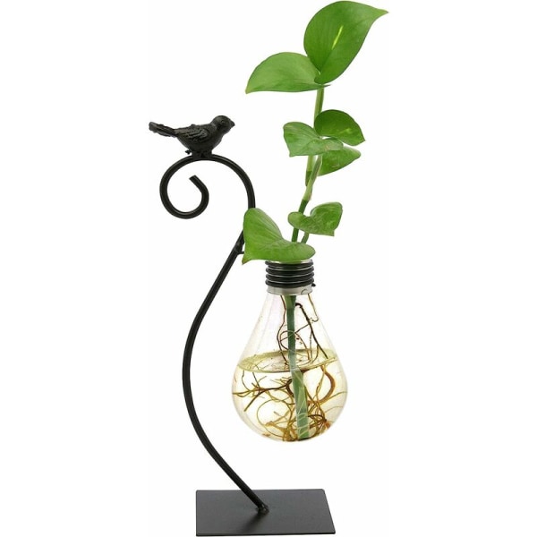 Hydroponic Planter Ornament Iron Desktop Vase (sort [26*12*8cm]) til bolig- og havedekoration
