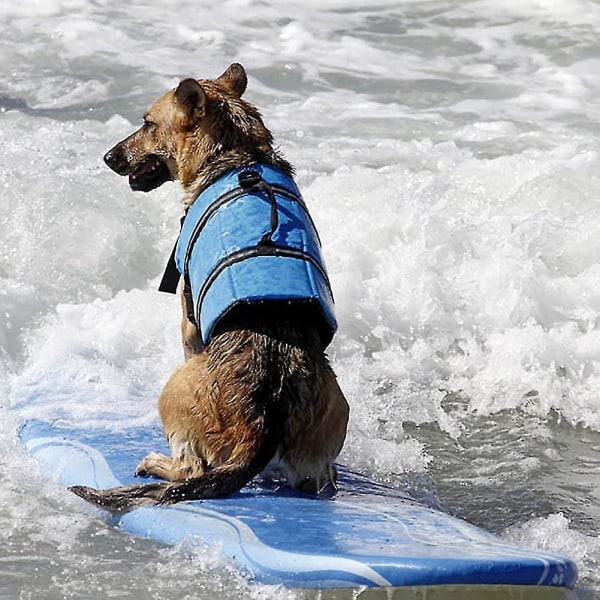 Sommarreflex justerbar hundsimväst Flytväst BLUE XXL