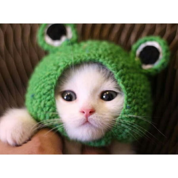 Lemmikkisammakkohattu - Button S, 22-24 Cat