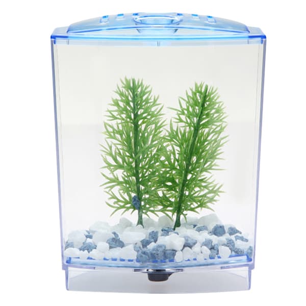 Mini Akvarium Transparent Vattenväxter Odling Box Kläckningsinkubator Enkel
