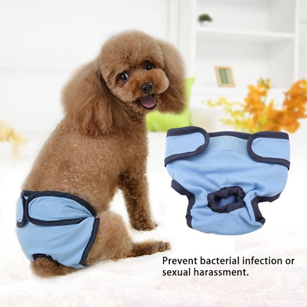 Polyester Hundbyxor Blå XL