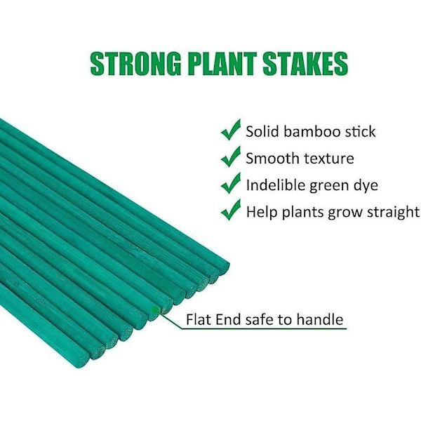100 styks plantestøttestave, 30 cm bambuspæle Splittede støttestokke til hjemmehaveblomster Plante blomster (grøn)