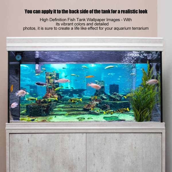 Undervanns korallakvarieplakat 76x46cm
