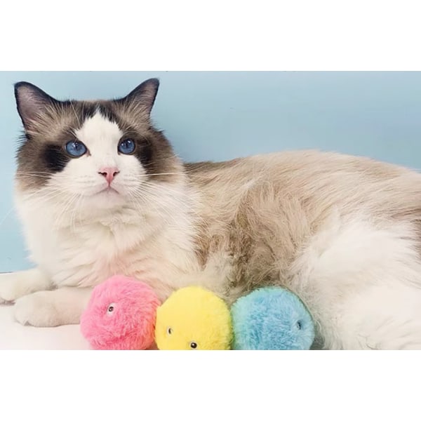 Kattelegetøj Skrigende bolde Catnip Lærer Kattebolde Fugle Slibe Tænder Bide Modstandsdygtige (3 Pack),