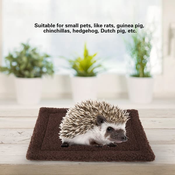 Igelkott Marsvin Sengemåtte Rektangulær Plys Pude Hamster Kæledyrshus Rede Mørkebrun