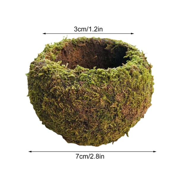 Japansk Mossboll Trädgård Växtkruka